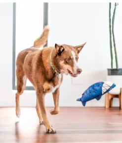 Red Dingo Hundespielzeug DURABLES Toys Hai Blau New