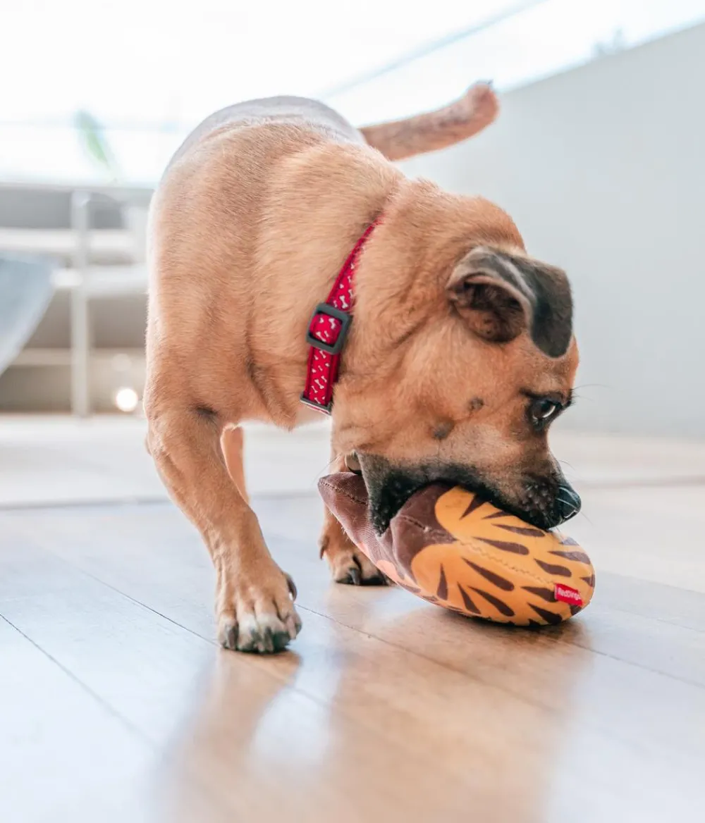 Red Dingo Hundespielzeug DURABLES Toys Nasenbär Online
