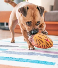 Red Dingo Hundespielzeug DURABLES Toys Nasenbär Online