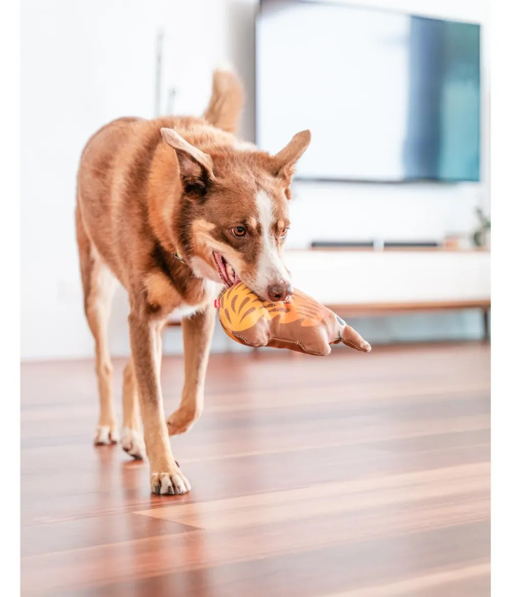 Red Dingo Hundespielzeug DURABLES Toys Nasenbär Online