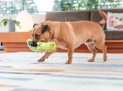 Red Dingo Hundespielzeug - Hundespielzeug DURABLES Toys Krokodil Grün