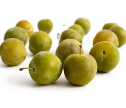 Dehner Reneklode 'Große Grüne Reneklode' Lemon