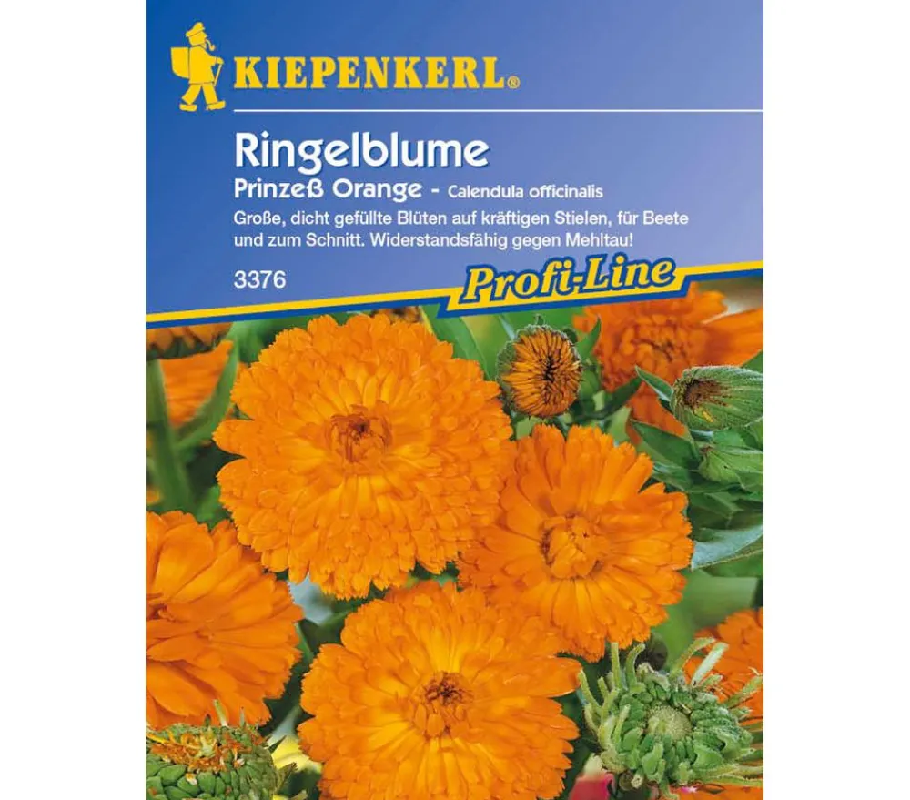Nebelung/Kiepenkerl Blumensamen - Ringelblume Prinzeß , Saatgut von Kiepenkerl Orange