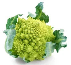 Dehner Kohl- & Salatpflanzen > Romanesco, 6er Schale