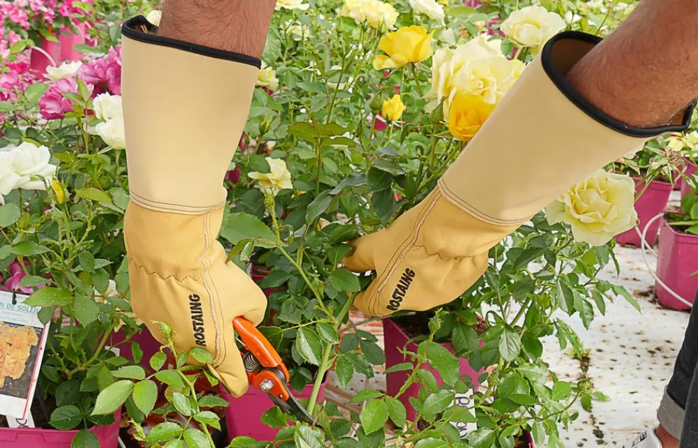Rostaing Lederhandschuh Roseraie Gelb Clearance