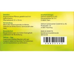 Dehner Gartengemüse > e Bete, e Rübe, bunt, 12er Schale
