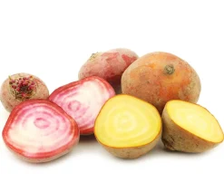 Dehner Gartengemüse > e Bete, e Rübe, bunt, 12er Schale