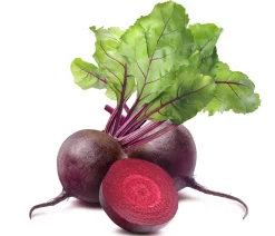 Dehner Gartengemüse > e Bete, e Rüben, 12er Schale