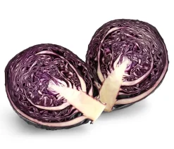 Dehner Kohl- & Salatpflanzen > Rotkohl, 6er Schale