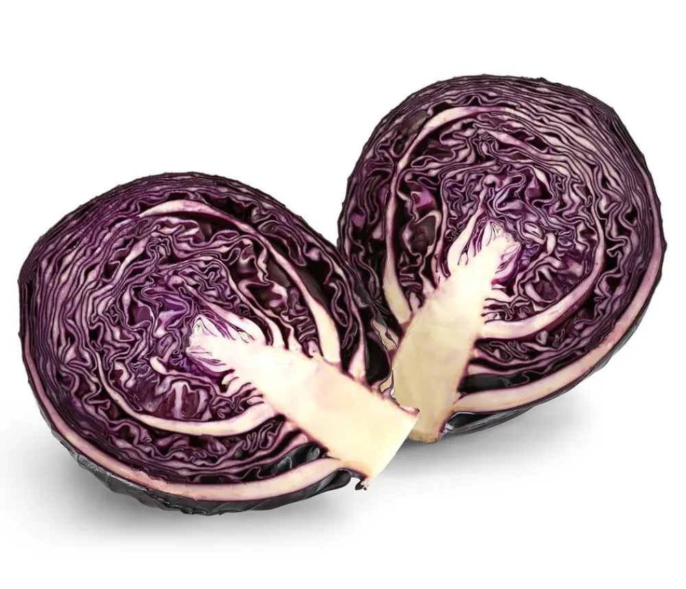 Dehner Kohl- & Salatpflanzen > Rotkohl, 6er Schale
