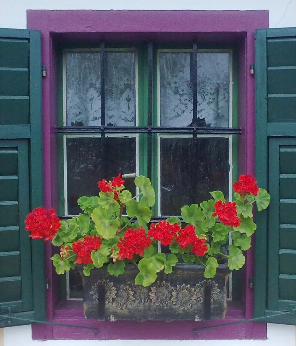 Roto Pflanzkübel & Blumenkästen > Kunststoff-Pflanzkasten Planika, rechteckig, , ca. B49,5/H18,5/T20,5 cm