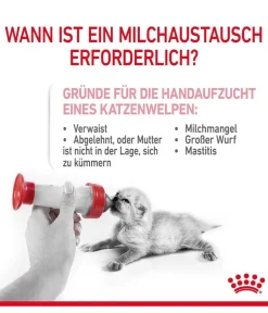 ROYAL CANIN® Nahrungsergänzung Katze > Babycat Milk, 300 g