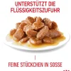 ROYAL CANIN® Nassfutter Katze > Nassfutter für Katzen Light Weight Care in Soße, 12 x 85 g