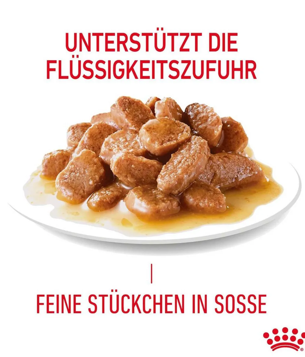 ROYAL CANIN® Nassfutter Katze > Nassfutter für Katzen Light Weight Care in Soße, 12 x 85 g