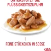 ROYAL CANIN® Nassfutter Katze > Nassfutter für Katzen Digestive Care in Soße, 12 x 85 g