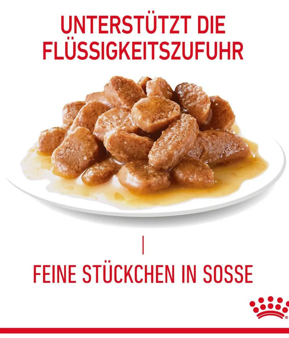 ROYAL CANIN® Nassfutter Katze > Nassfutter für Katzen Digestive Care in Soße, 12 x 85 g