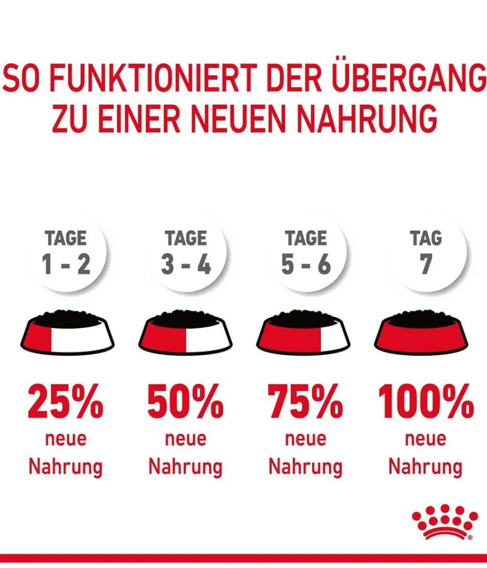 ROYAL CANIN® Nassfutter Katze > Nassfutter für Katzen Digestive Care in Soße, 12 x 85 g