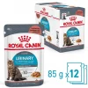 ROYAL CANIN® Nassfutter für Katzen Urinary Care in Soße, 12 x 85 g Sale
