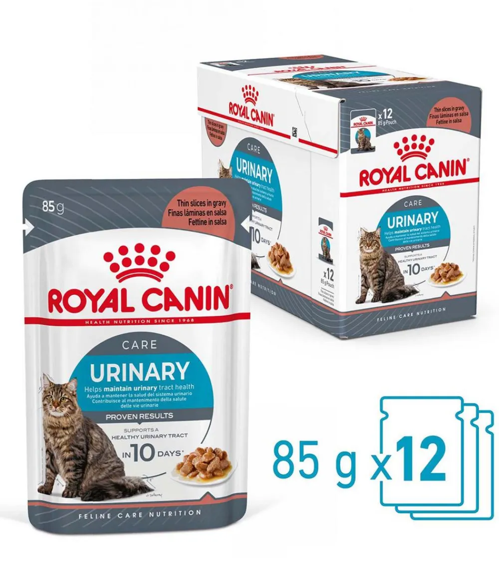 ROYAL CANIN® Nassfutter für Katzen Urinary Care in Soße, 12 x 85 g Sale