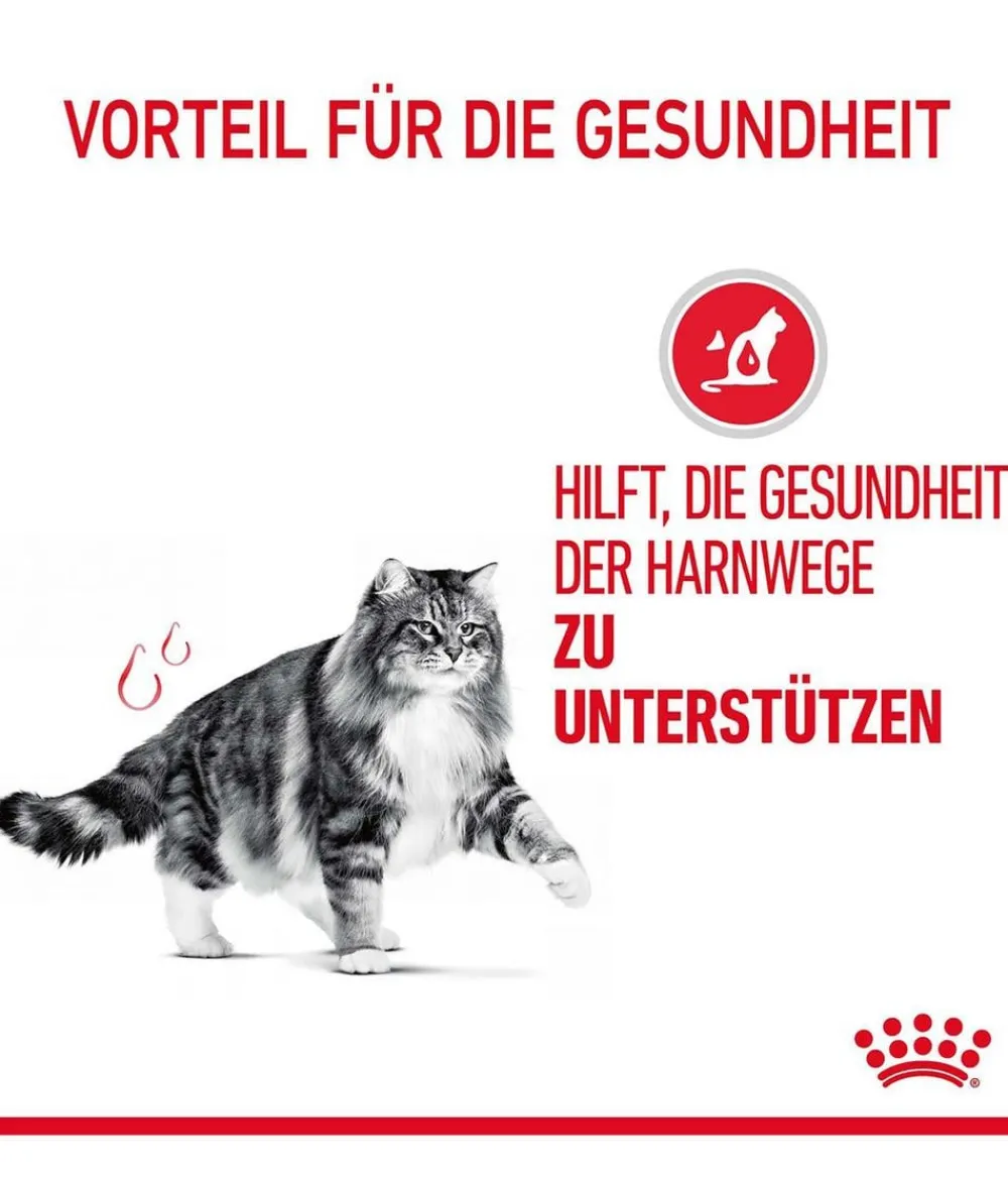 ROYAL CANIN® Nassfutter für Katzen Urinary Care in Soße, 12 x 85 g Sale
