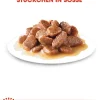 ROYAL CANIN® Nassfutter Katze > Nassfutter für Katzen Sterilised in Soße, 12 x 85 g