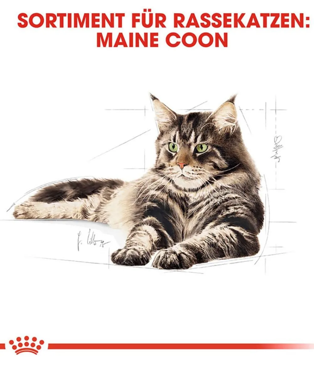 ROYAL CANIN® Nassfutter Katze > Nassfutter für Katzen Maine Coon Adult in Soße, 12 x 85 g