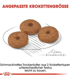 ROYAL CANIN® Trockenfutter für Hunde Mini Ageing 12+ New