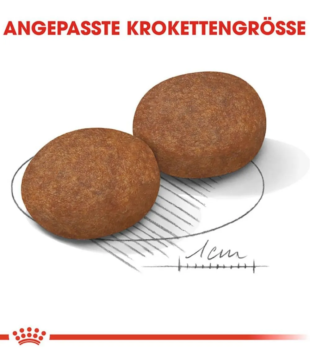 ROYAL CANIN® Trockenfutter Hund > Trockenfutter für Hunde Medium Adult 7+