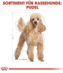 ROYAL CANIN® Trockenfutter für Hunde Poodle Adult Outlet