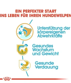 ROYAL CANIN® Trockenfutter für Hunde Labrador Retriever Puppy Discount