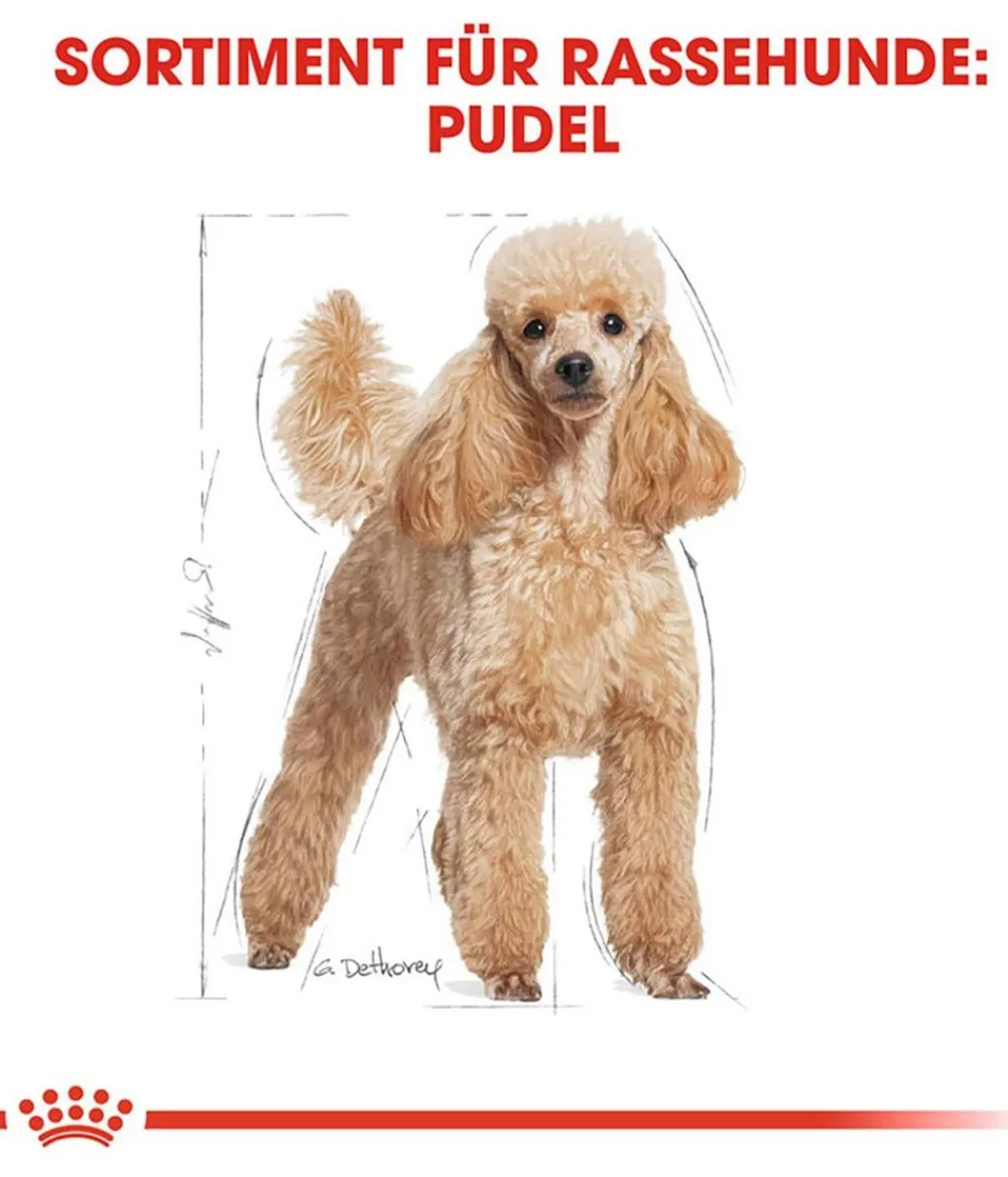 ROYAL CANIN® Trockenfutter Hund - Trockenfutter für Hunde Poodle Adult