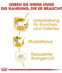 ROYAL CANIN® Trockenfutter Hund - Trockenfutter für Hunde Dachshund Adult