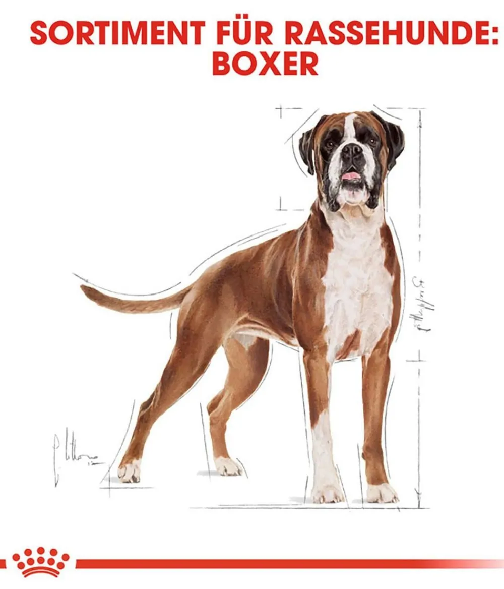 ROYAL CANIN® Trockenfutter Hund > Trockenfutter für Hunde Boxer 26 Adult