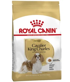 ROYAL CANIN® Trockenfutter Hund > Trockenfutter für Hunde Cavalier King Charles Adult
