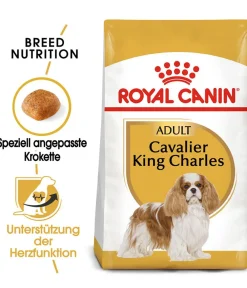 ROYAL CANIN® Trockenfutter Hund > Trockenfutter für Hunde Cavalier King Charles Adult