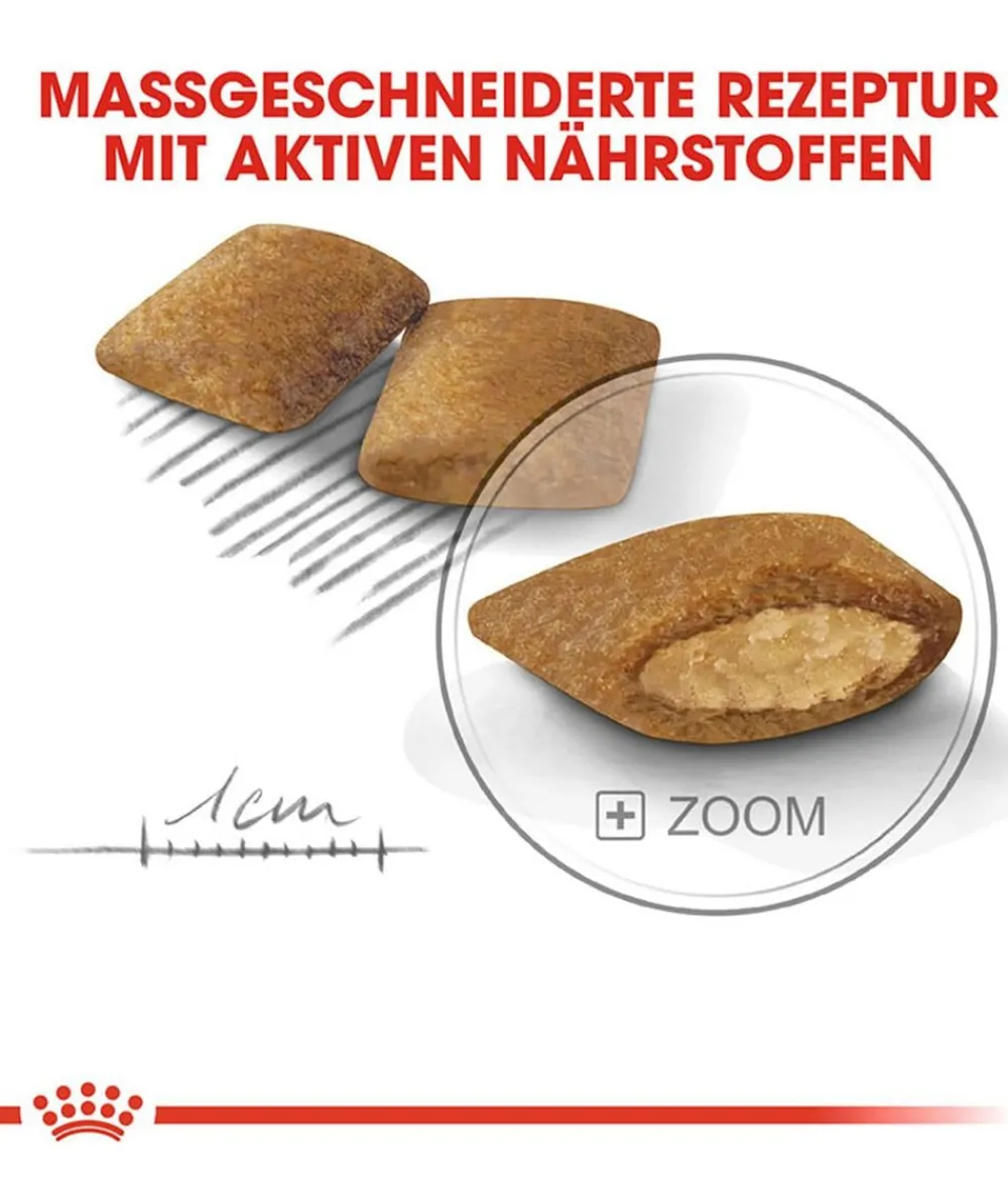ROYAL CANIN® Trockenfutter Hund > Trockenfutter für Hunde Exigent Mini
