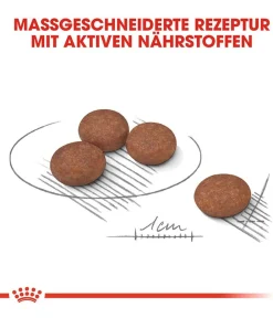 ROYAL CANIN® Trockenfutter Hund > Trockenfutter für Hunde Digestive Care Mini