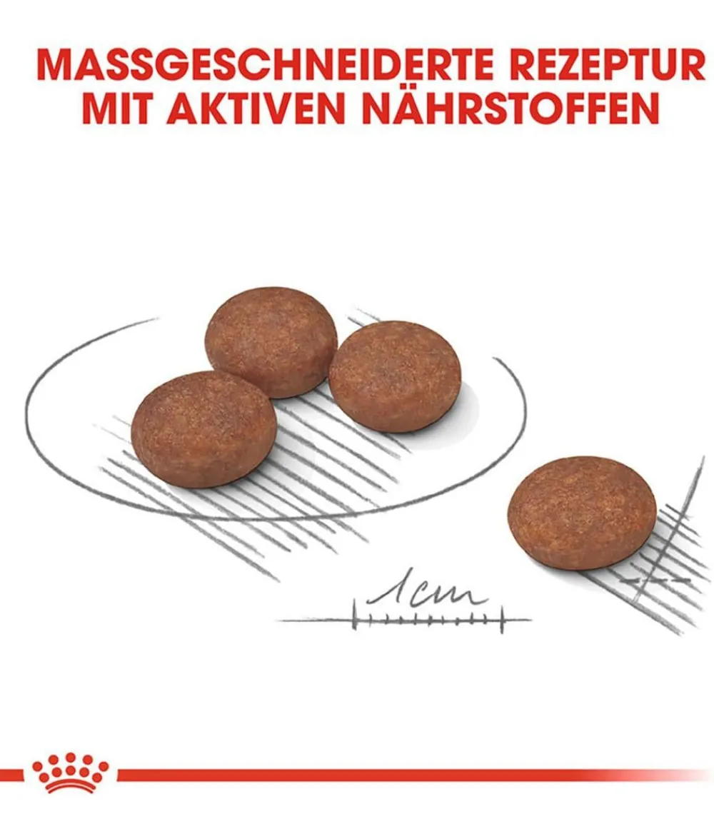 ROYAL CANIN® Trockenfutter Hund > Trockenfutter für Hunde Digestive Care Mini