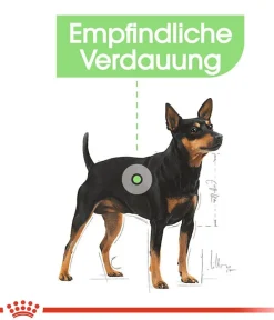ROYAL CANIN® Trockenfutter Hund > Trockenfutter für Hunde Digestive Care Mini