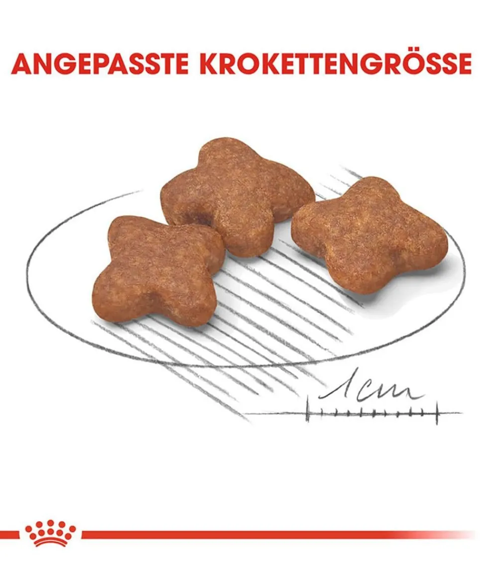 ROYAL CANIN® Trockenfutter Hund > Trockenfutter für Hunde Mini Ageing 12+
