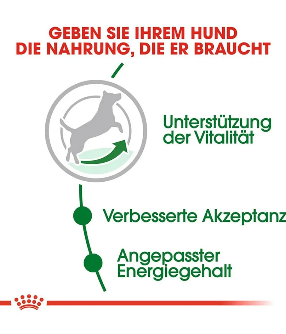 ROYAL CANIN® Trockenfutter Hund > Trockenfutter für Hunde Mini Ageing 12+