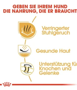 ROYAL CANIN® Trockenfutter Hund - Trockenfutter für Hunde Bulldog