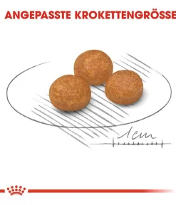 ROYAL CANIN® Trockenfutter für Hunde X-Small Adult Best