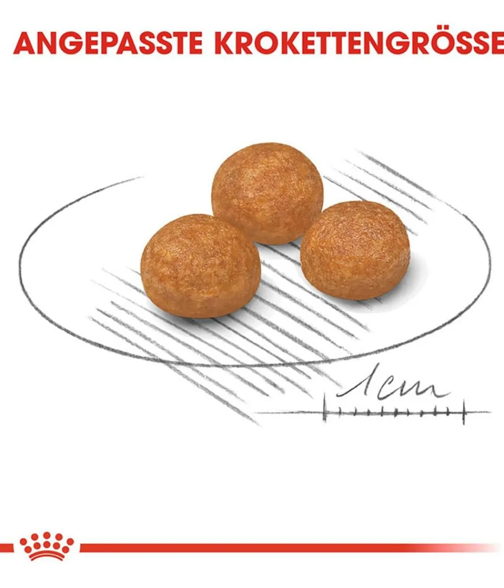 ROYAL CANIN® Trockenfutter Hund - Trockenfutter für Hunde Exigent Mini
