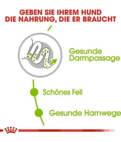 ROYAL CANIN® Trockenfutter Hund - Trockenfutter für Hunde Exigent Mini