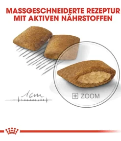 ROYAL CANIN® Trockenfutter Hund - Trockenfutter für Hunde Exigent Mini