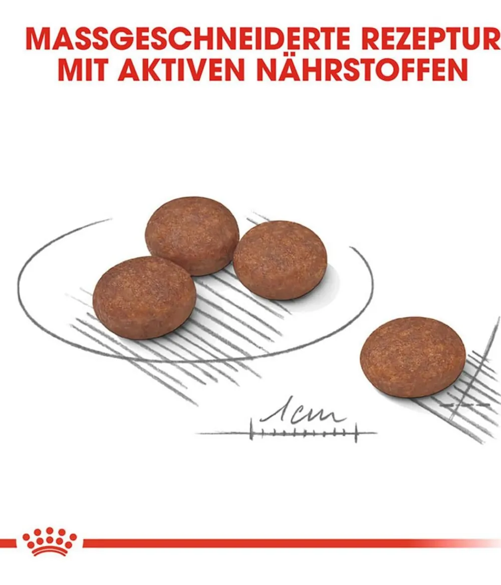 ROYAL CANIN® Trockenfutter Hund - Trockenfutter für Hunde Digestive Care Mini