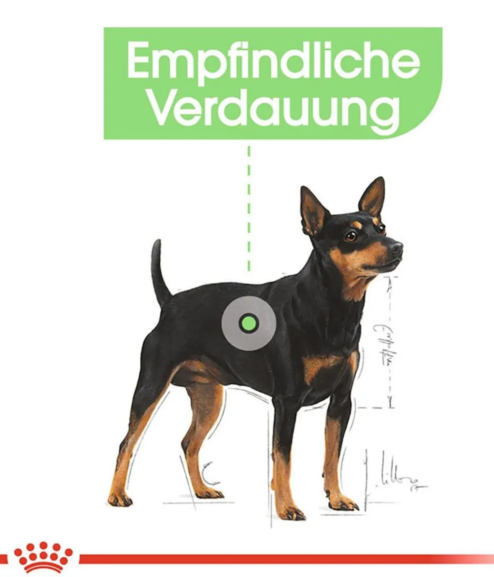 ROYAL CANIN® Trockenfutter Hund - Trockenfutter für Hunde Digestive Care Mini