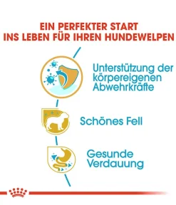 ROYAL CANIN® Trockenfutter Hund - Trockenfutter für Hunde Yorkshire Terrier Puppy
