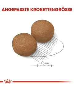ROYAL CANIN® Trockenfutter Hund - Trockenfutter für Hunde 5+ Maxi Adult